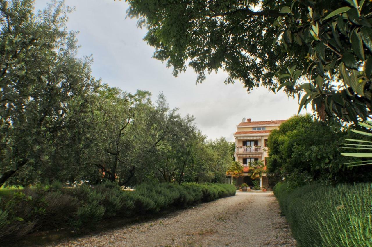 Haus Liliana Hotel Tar-Vabriga Buitenkant foto